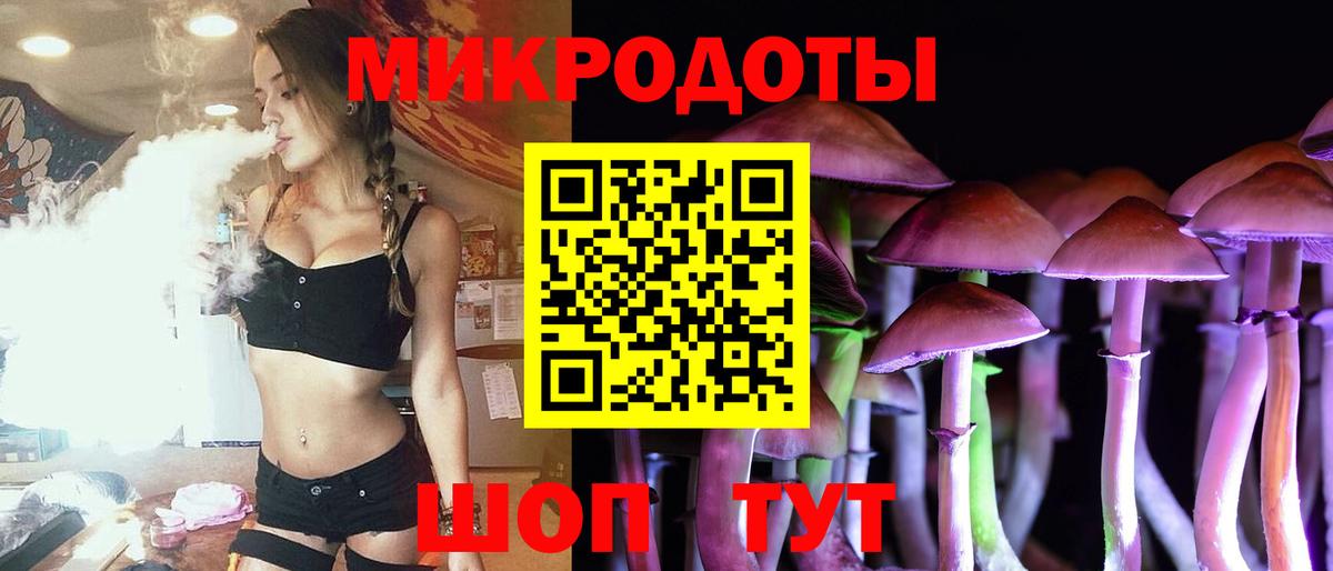 Галлюциногенные грибы Psilocybe Люберцы