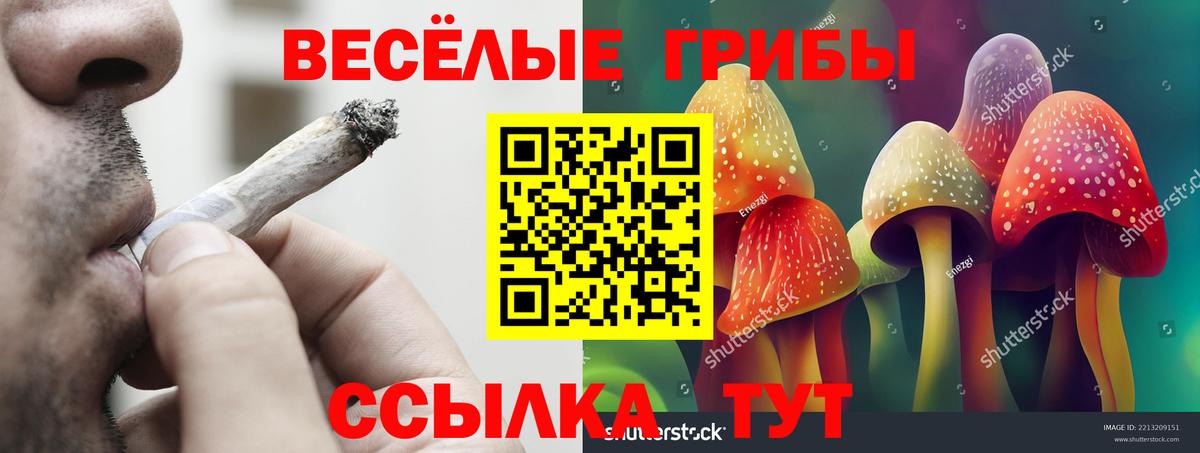 Псилоцибиновые грибы Psilocybine cubensis  Галлюциногенные грибы Magic Shrooms  Вход с VPN  Люберцы 